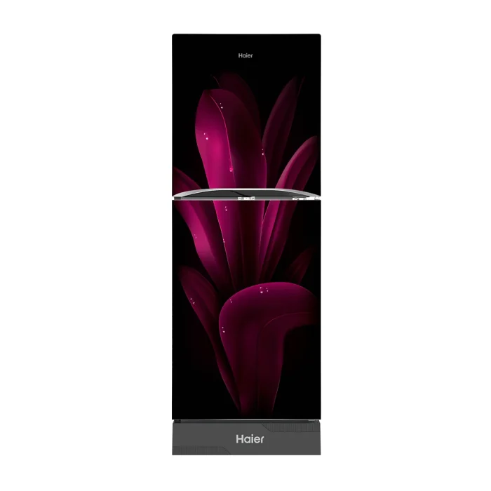 255L Bottom Mount Refrigerator